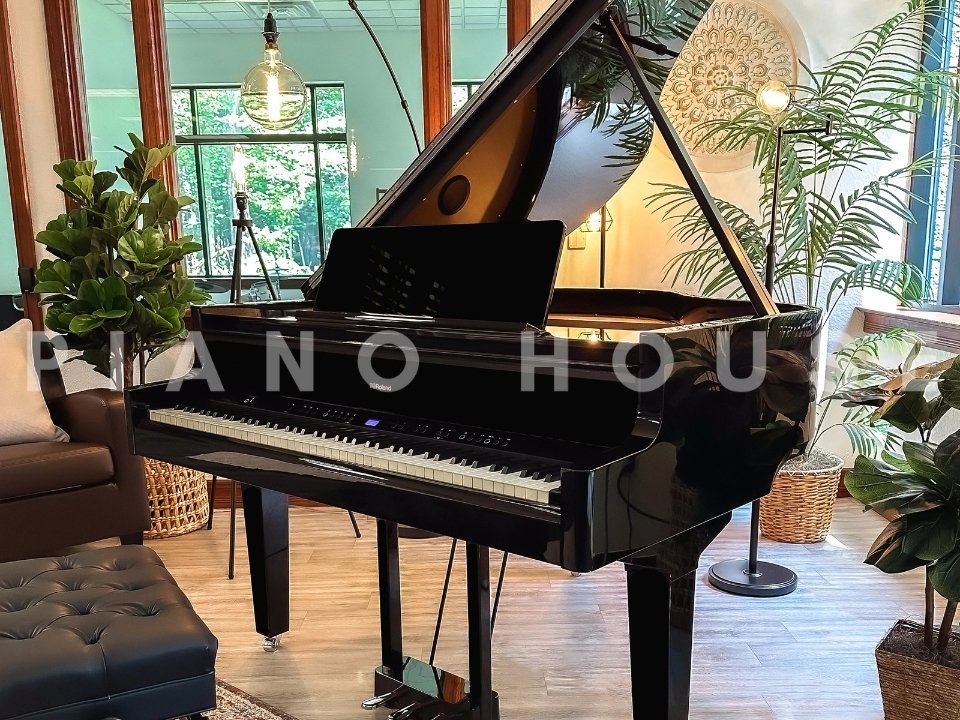 Hình ảnh chi tiết ROLAND GP-9 PE (USED) góc chụp 2